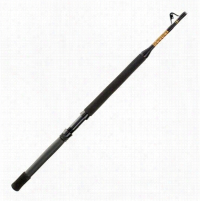 Penn International V Stand-up Rod - Model Vs5010rs60