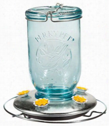 Perky-pet Mason Jar Hummihgbird Feeder