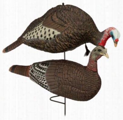 Redhea Dfeatherweight Mating Pair Turkey Decoy Combo