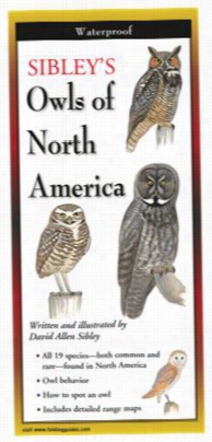 Sibley's Owls Of North America Laminated Folding Guide By David Alle N Sibley