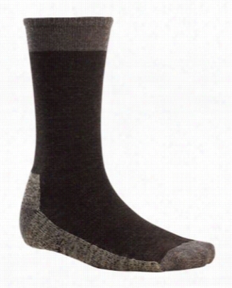 Smartwool Hiker Street M0untain Socks For Men - Chestnut Heather - Xl