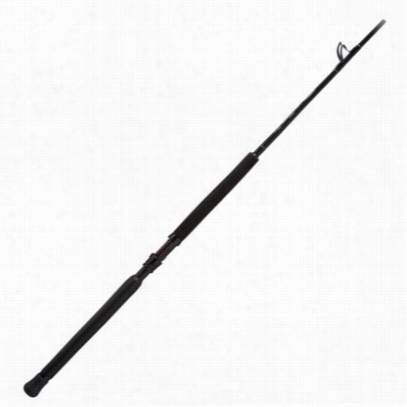 St. Croix Legend Salt Conventional Rod - Model Lswc66mf