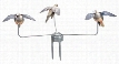 Hunter's Edge Dove Feeding Frenzy Decoy System