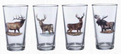 Wild Wings Big Game 4-piece Bar Glass Set