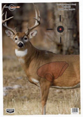Birchwood Casey Pregamewhitetail Deer Shooting Target