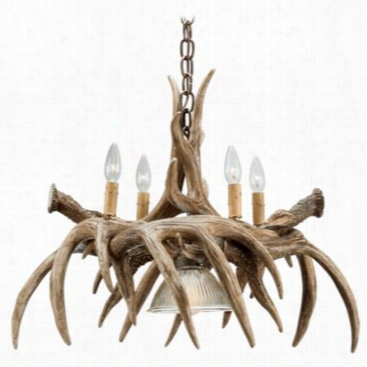 Cast Horn Deignss Whitetail Antler Cha Ndelier