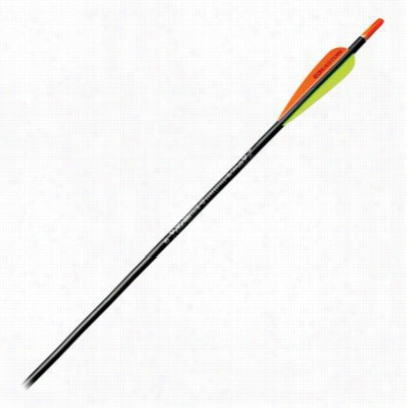 Easton Xx75 Gamegetter Arrows - 340