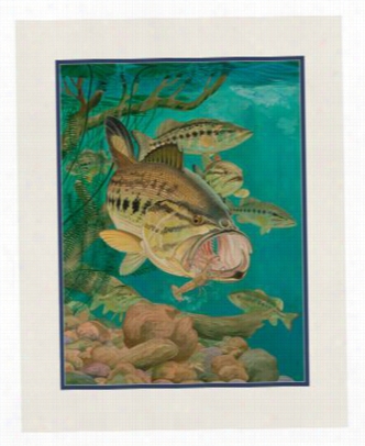 Guy Harvey Double Matted Mini Print - Largemoth Bass