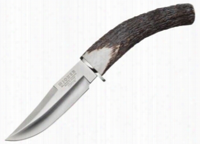 Joker Ed Monte  Stag Horn Fixed Blade Hunting Knife