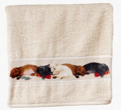 Retriecer School Bathroom Accessories - Bath Towel