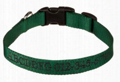 Scott Pet Products Personalized Nylon Dog Collar -green/black Thread-  M 10'-16'