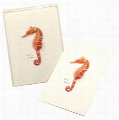 Seahorse Notecards With Envelopes Boxed Set