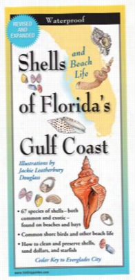 Shells And Beach Life Of Florida's Gul F Oast Laminated Plait Lead By Jackie Leatherbury Douglass