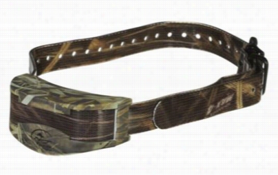 Sportdog Brand Sdr-aw Dd-a-dog Wetlandhunter Collar Receiver