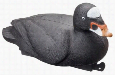 Tanglefree Migrattiob Edition Suurf Scoter Decoys