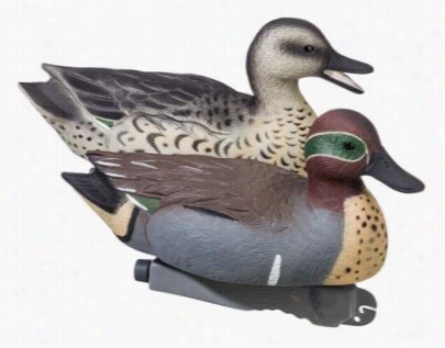 Tan Glefreee Pro Ssries Green Wing Teal Decoys