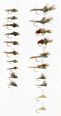 White Riverfly Shop 20 Piece Mayfly Life Cycle Fly Assotrment
