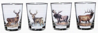 Wild Wings Big Game 4-piece Double-old-fashioned Glass Set