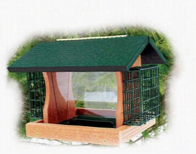 Woodlink Going Green Large Premier Bird Feeder With Suet Cages