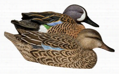 A Vian-x Topflight Blbue Wingt Eal Duck Decoys