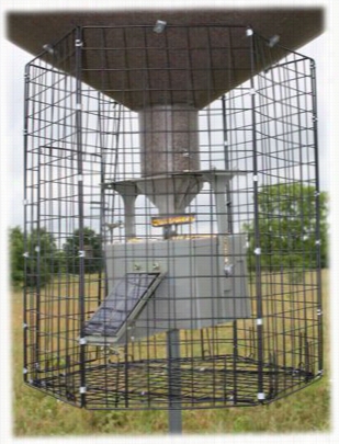 Boss Buck Deluxe Varmint Guard Cage