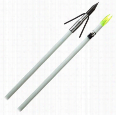 Cajun Archery Piranha Long Barb Point With Complete Arrow Set - Fiberglass  Shaft