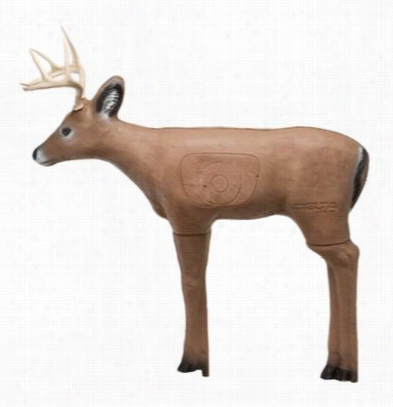 Delt A River Bottom Intruder Buck Deer 3-d Target