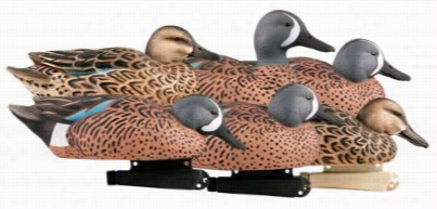 Gerenhead Gear Pro-grade Blue-winged Teal Duc, Decoys