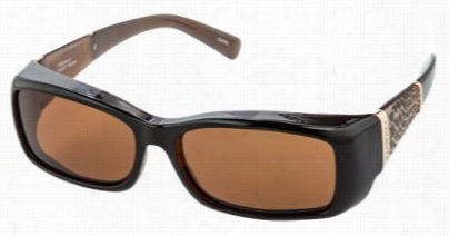 Haven Signature Freesia  Croc Fit Overs Polarized Sunglasses - Chocolate+croc Skni/amber