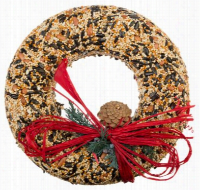 Mr.. Bird Wildfeast Bird Food Wreath