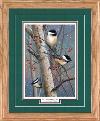 Northern Promotions Framed Art-  Woodland Sprites By Cynthie Fisher