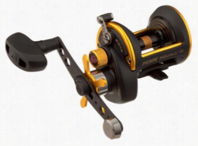 Penn Squall Star Drag Conventional Reel - Sql15