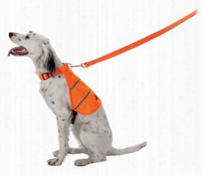 Redhead Fluorescent Safety Vest For Dog - Orange - Small 1-18 Lbs.