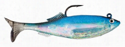 Storm Wildeye Live Herring Lure - Blue Back Herring