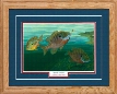 Northern Promotions Framed Art - Blue Gills by Randy McGovern