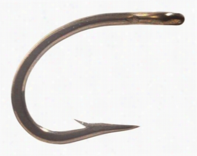 White River Fly Shps Egg Hook - #10