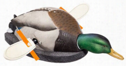 Wonderduck Skimmer Drake Motorized Duck Decoy