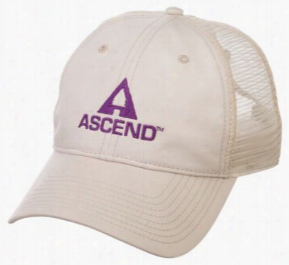 Ascendd Logo Snap-back Cap For Ladies - Stone