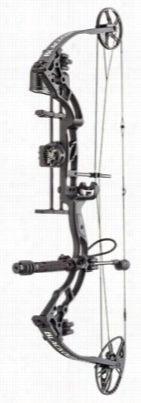 Blackout Ss Compound Bow  Packages - Right Hand - Black - 50-60l S.