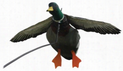 Deadly Decoys Flyer Mallard Decoy