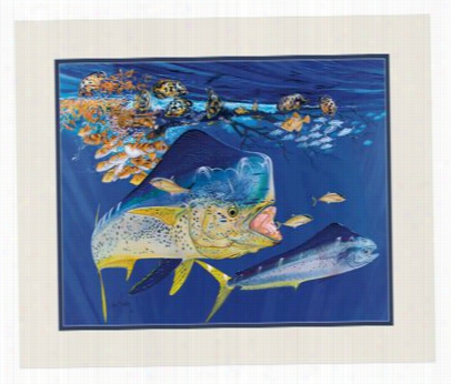 Guy Harvey Dkuble Matted Ini Print - Dol Phin Summer