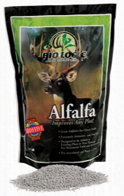 Mossy Oak Biologic Alfalfa Seed - 1 Lb. - Plants 1/4 Acre