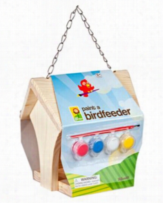 Paint A Birdfeeder Kit For Kids