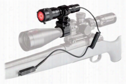 Pursuit Predator 300 Lumens Night Hunting Light Kit