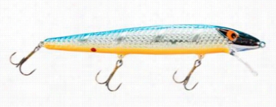 Smithwick Suspending Super Knave - Chrome/blue Back/orange  Concavity