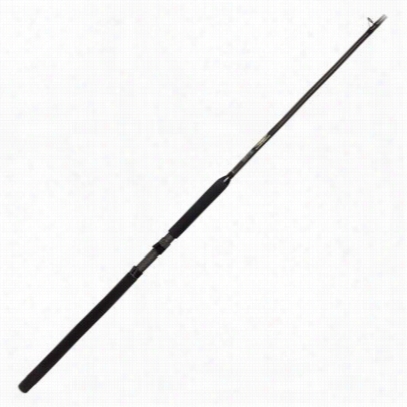 St. Croix Wild Large Stream Downrigger Rod - Wrd90mhm2