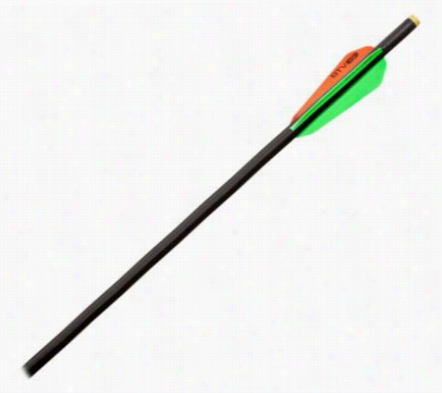 Tenpoint Carbon Pro V22 Arrows