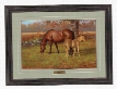 Hayden Lambson Framed Artwork - A Proud Heritage