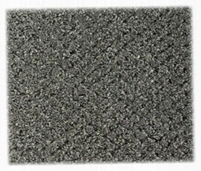 Value Carpet Mariner Boat Carpet - 8'x1' - Silver