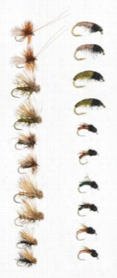 White River House-~ Shop 20-piece Caddis Life Cycle Assortment